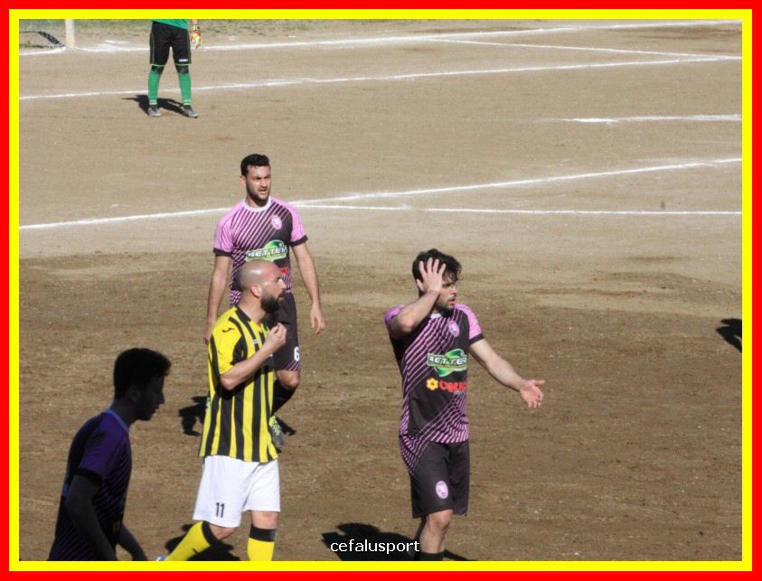 190310 Cephal_Torrenov 078_tn.jpg